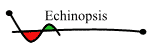 Echinopsis