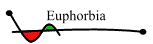 Euphorbia