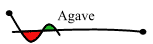 Agave