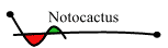 Notocactus