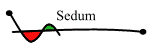 Sedum