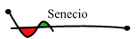 Senecio
